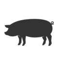 icon-schwein